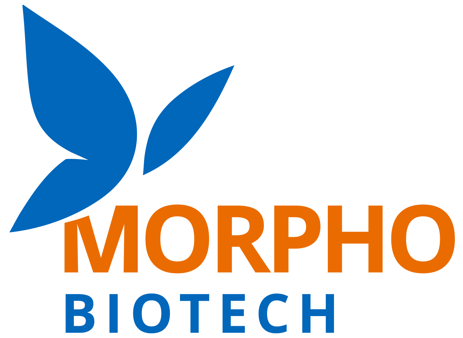 Morpho Logo